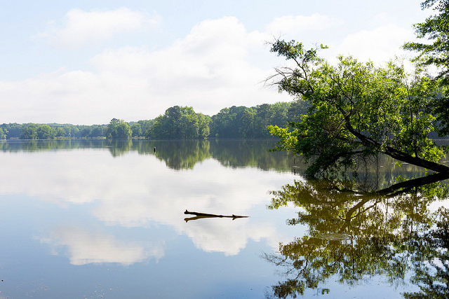 Village At Lake Wheeler