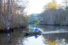 Mobile-Tensaw River Delta