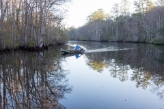 Mobile-Tensaw River Delta