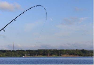 fishing rod bent with lake in background