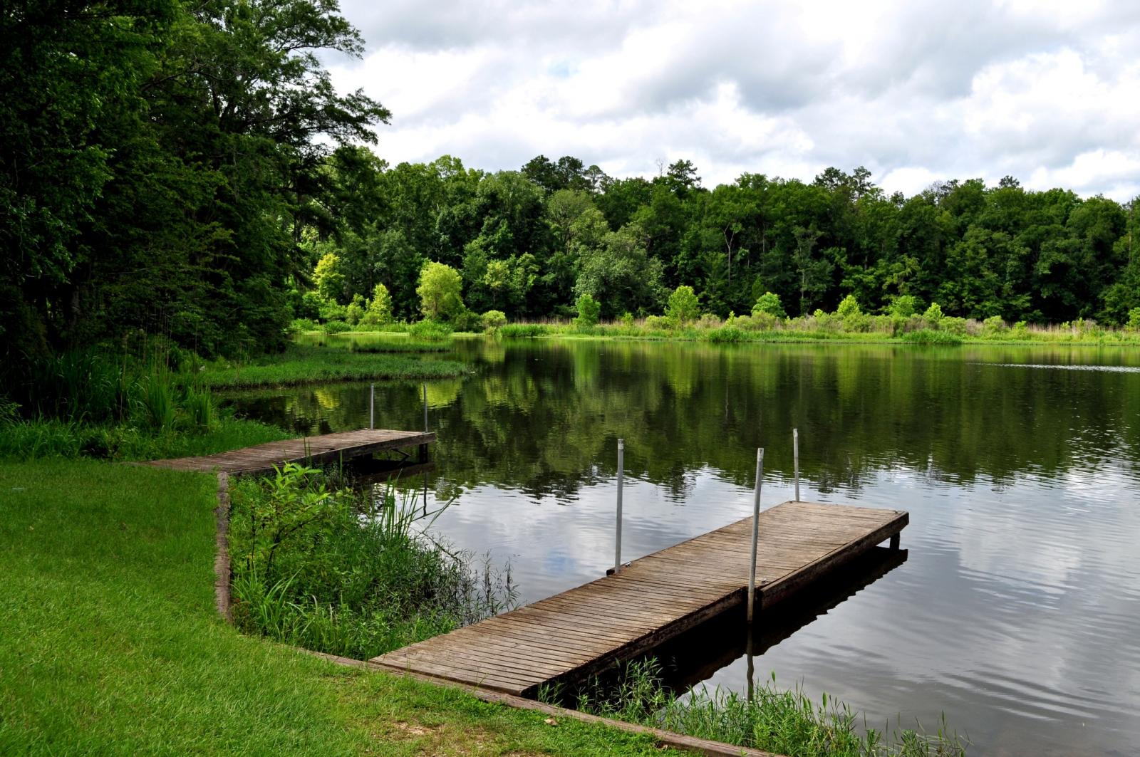 When visiting the Alabama River, we highly recommend including a trip to Roland Cooper State Park. Camping, birdwatching opportunities and great fishing are all part of the experience there.
